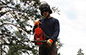 Family Tree Arborist Services