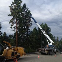 Crane Dismantling 3